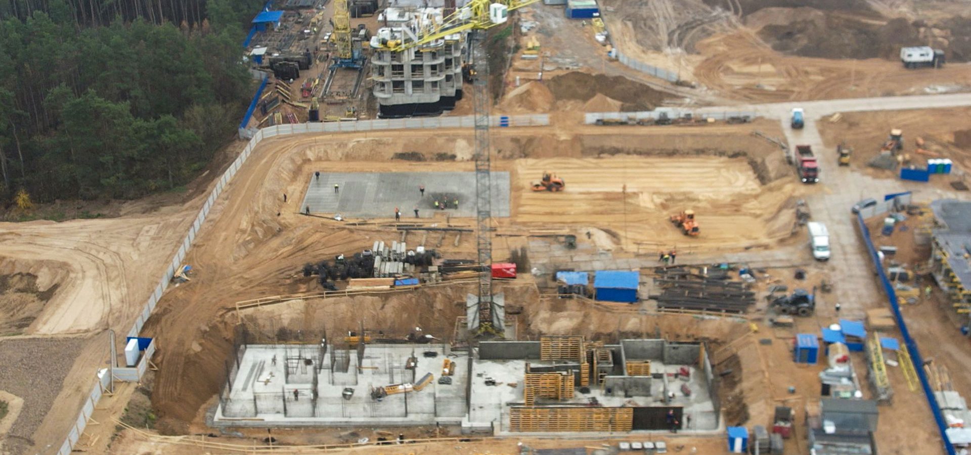 11 ноября 2025 г.