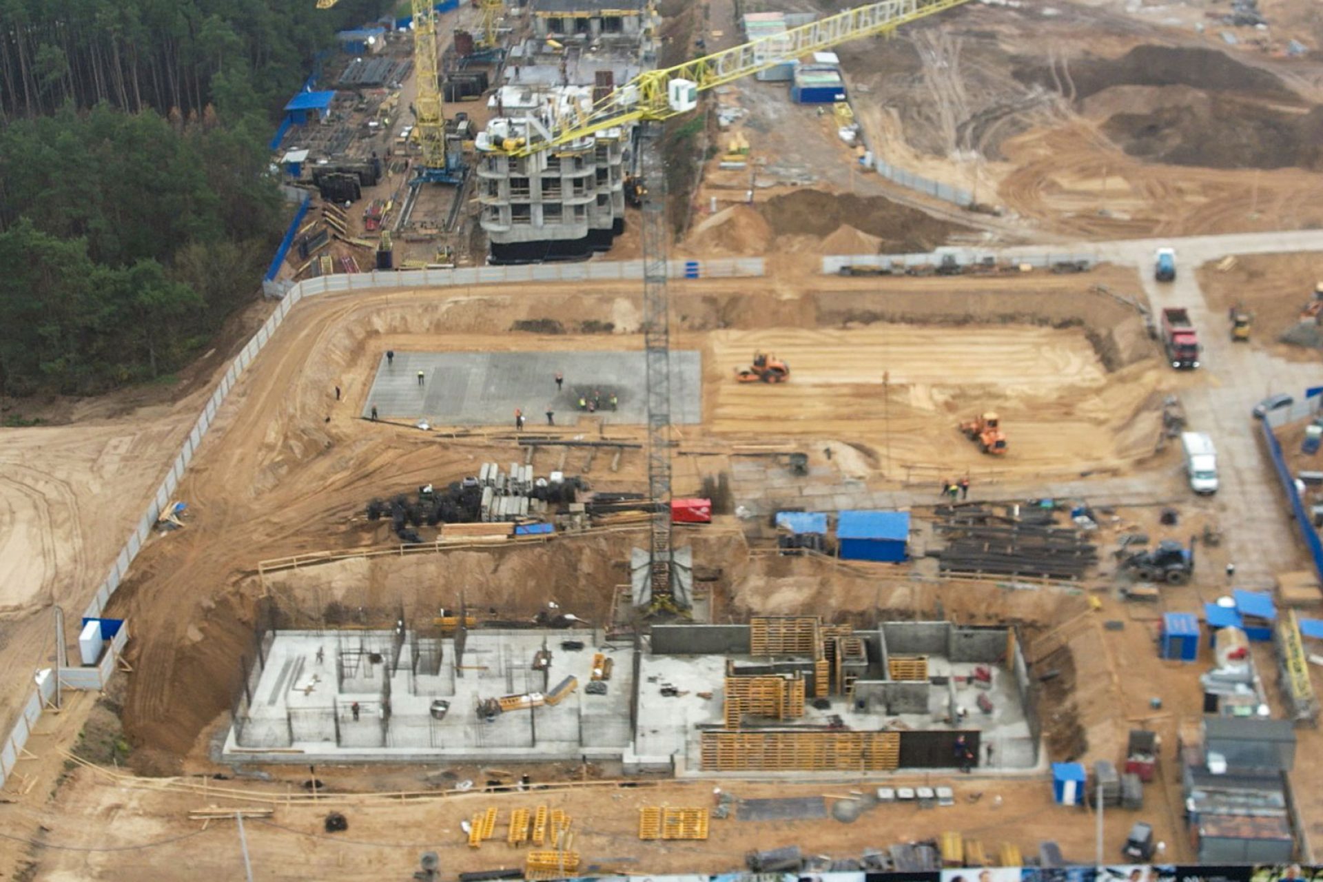 11 ноября 2025 г.