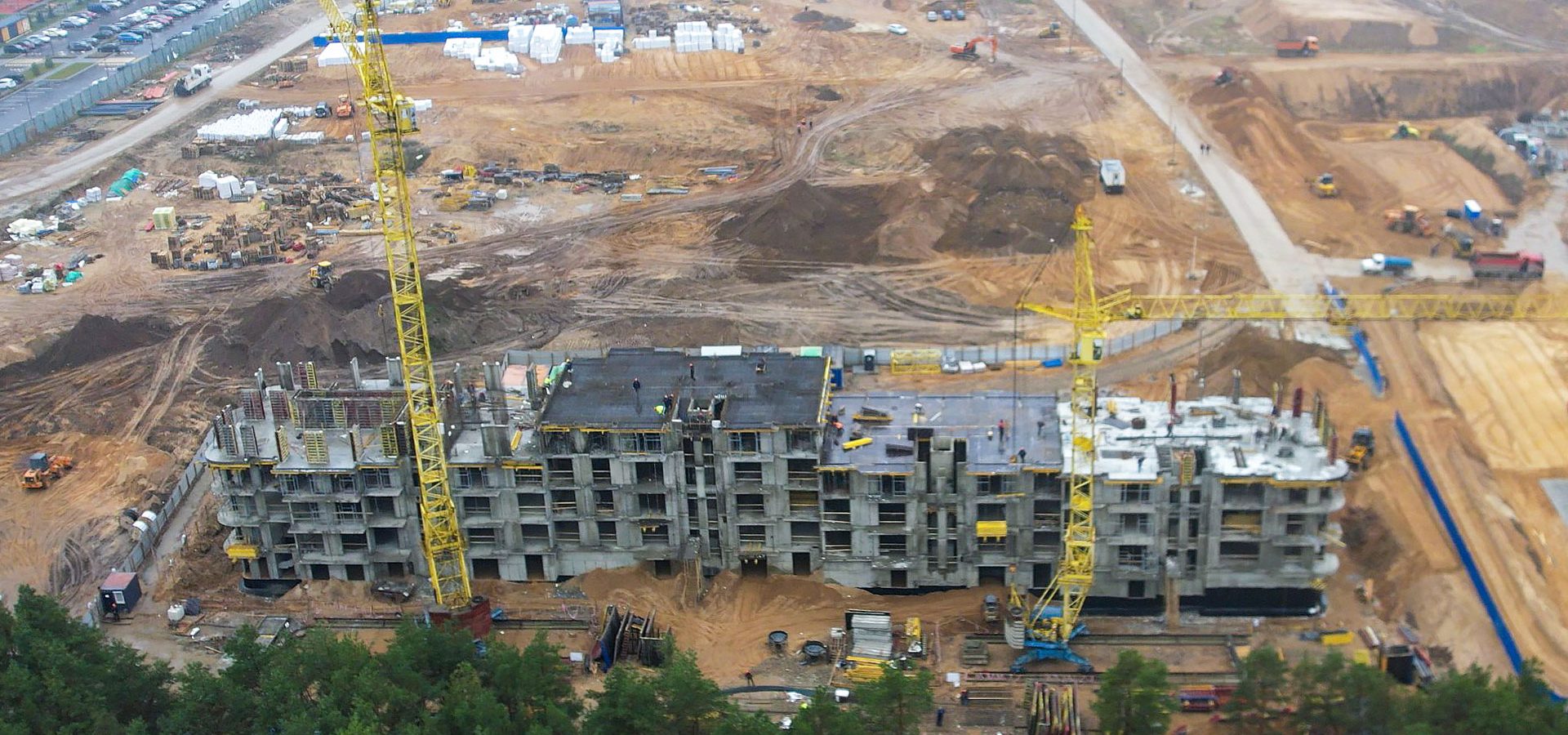 11 ноября 2025 г.