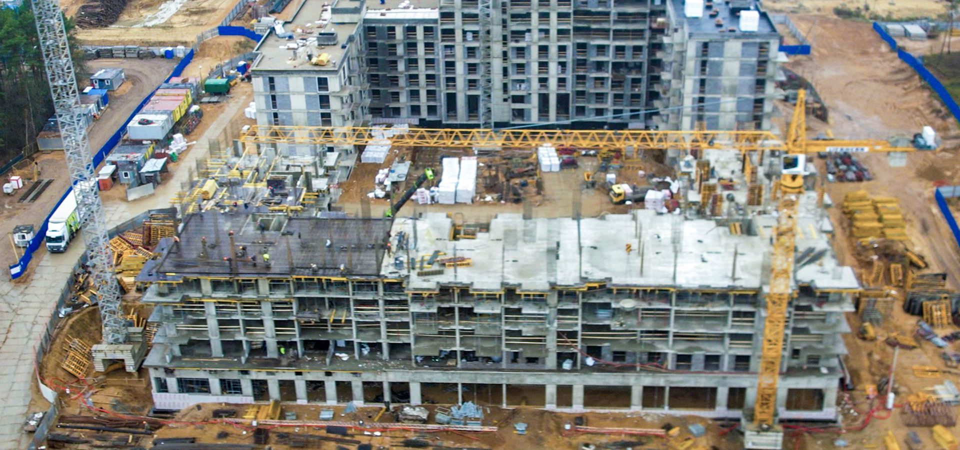 11 ноября 2025 г.