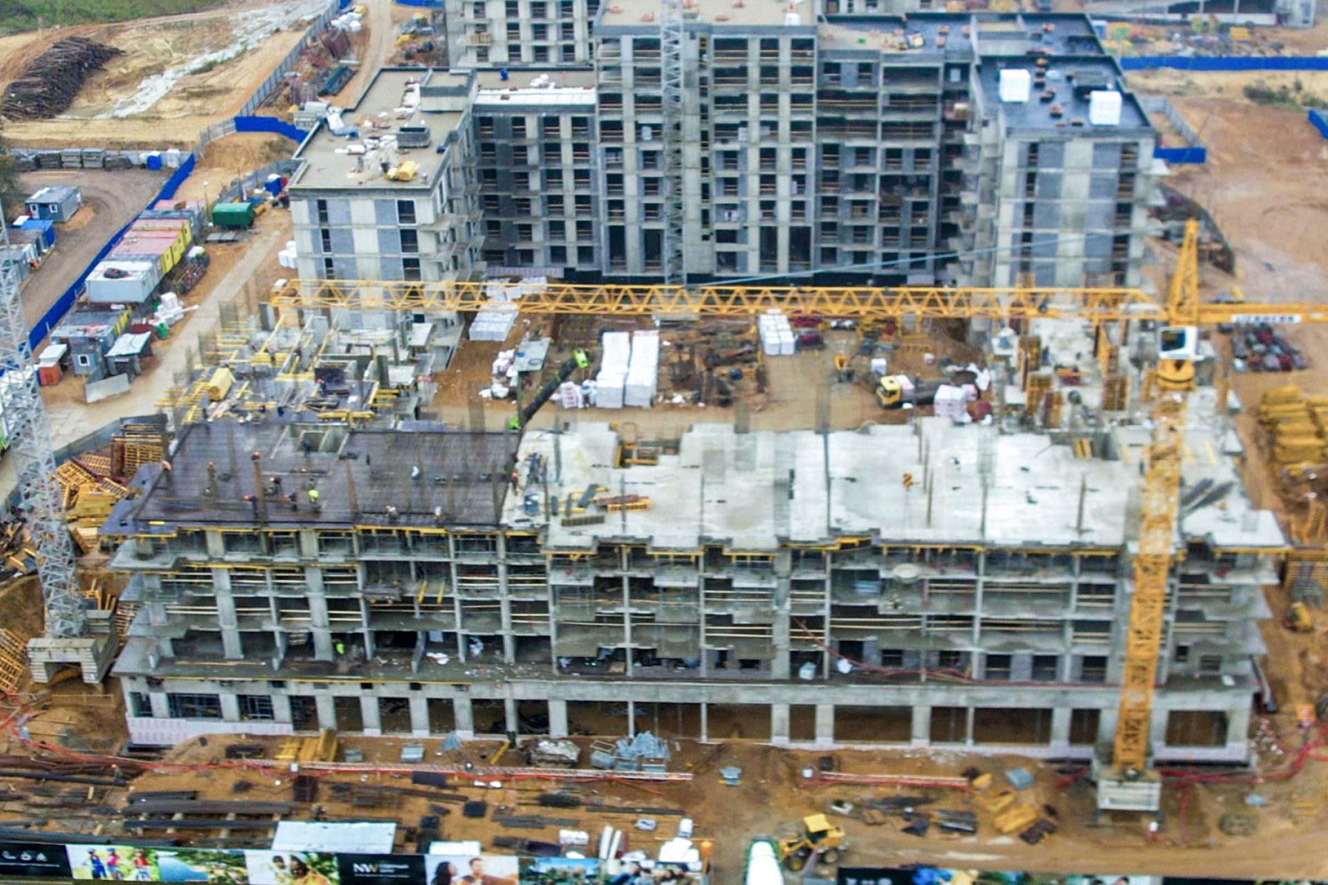 11 ноября 2025 г.