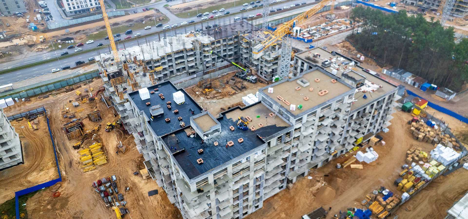 11 ноября 2025 г.