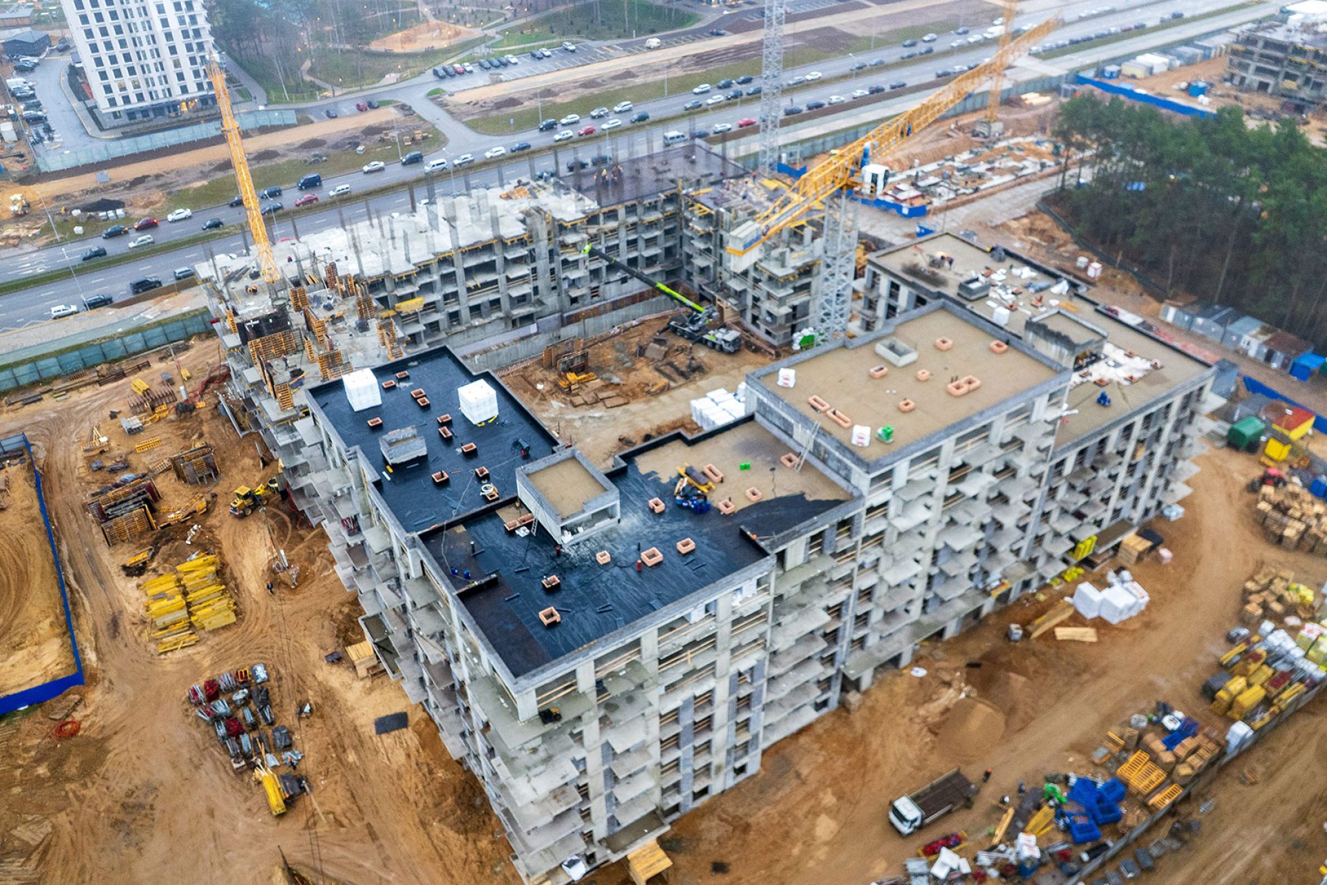 11 ноября 2025 г.