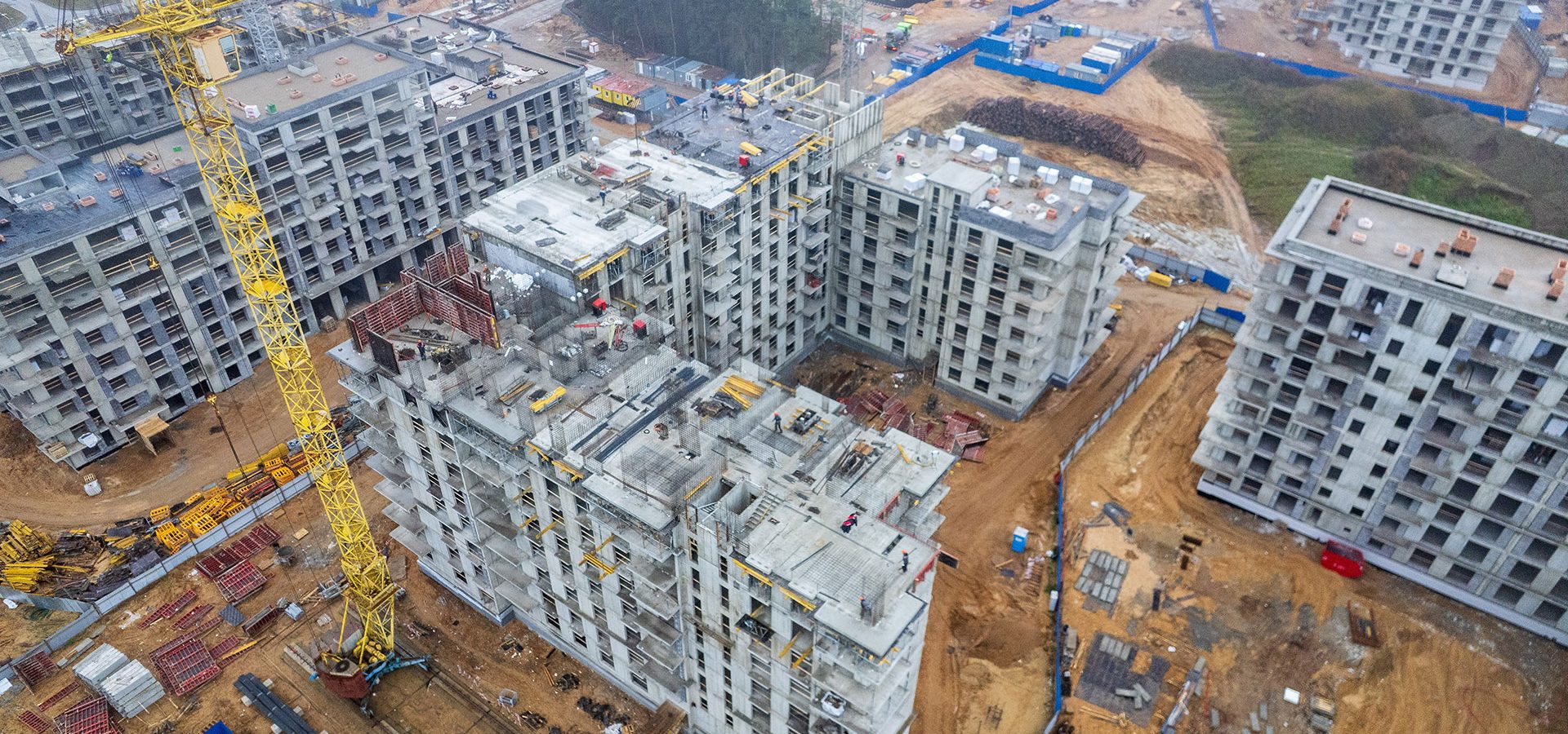 11 ноября 2025 г.