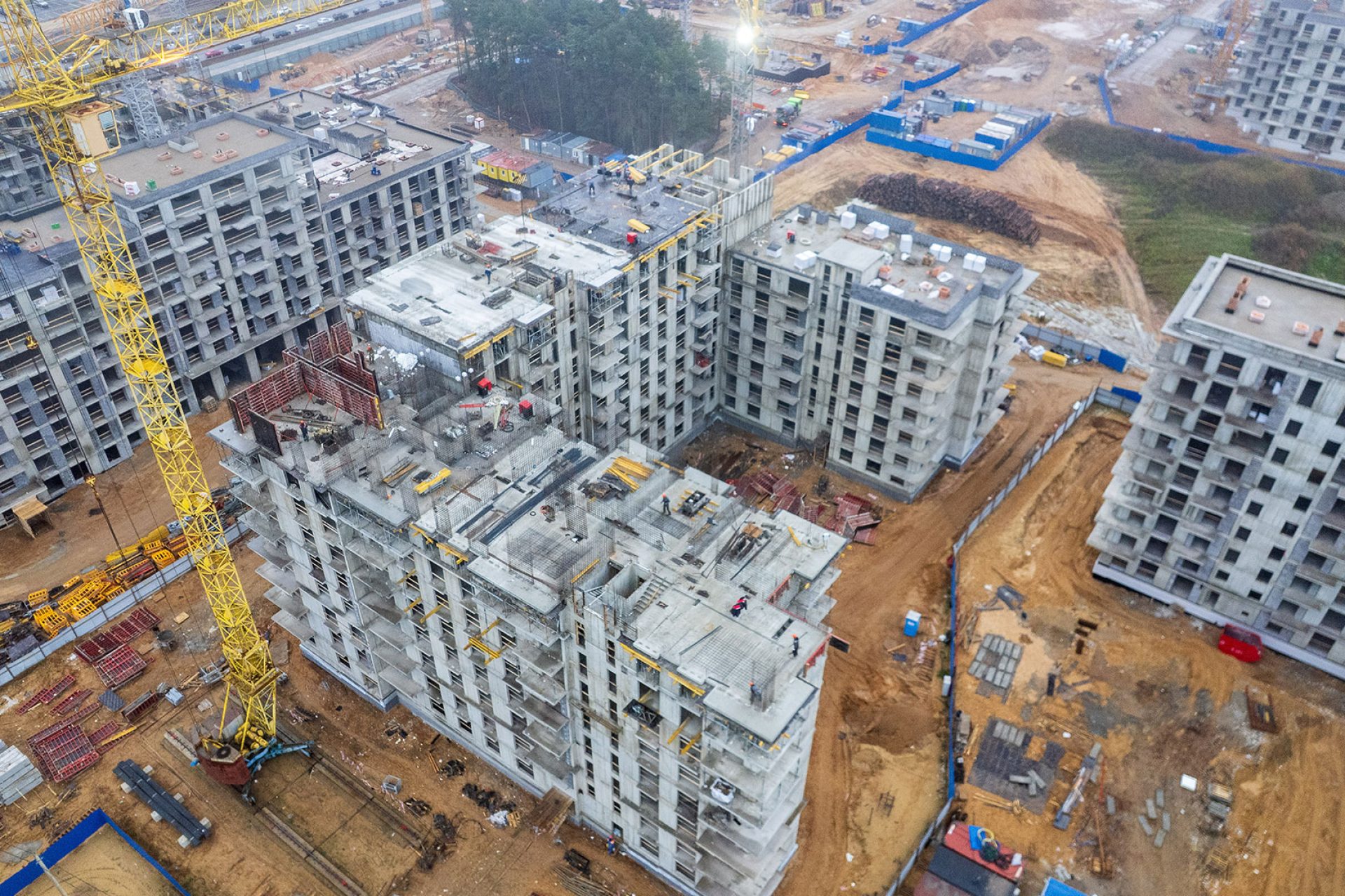 11 ноября 2025 г.