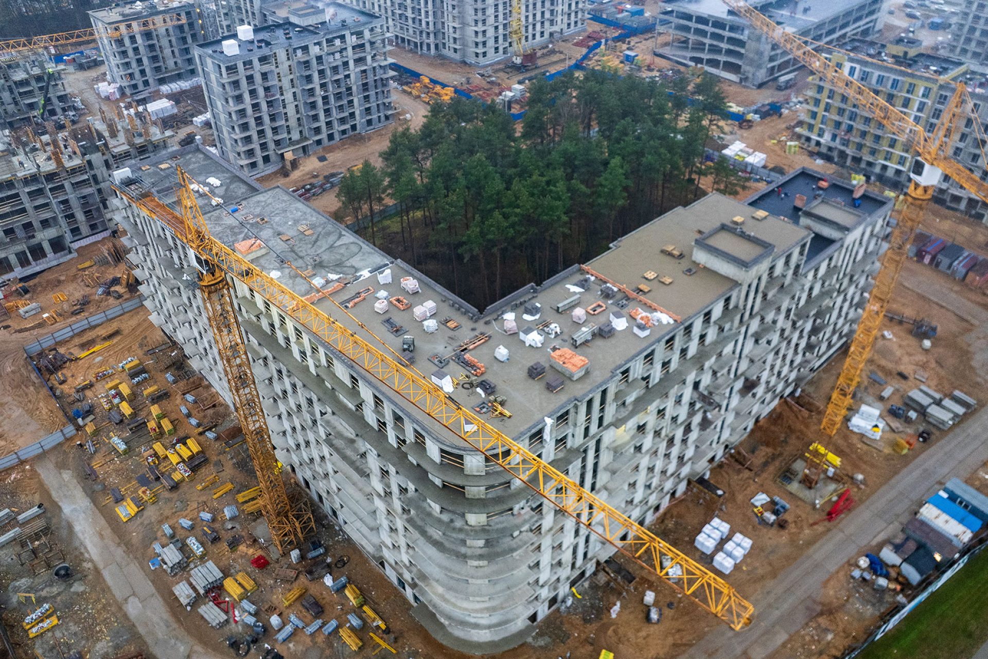 11 ноября 2025 г.