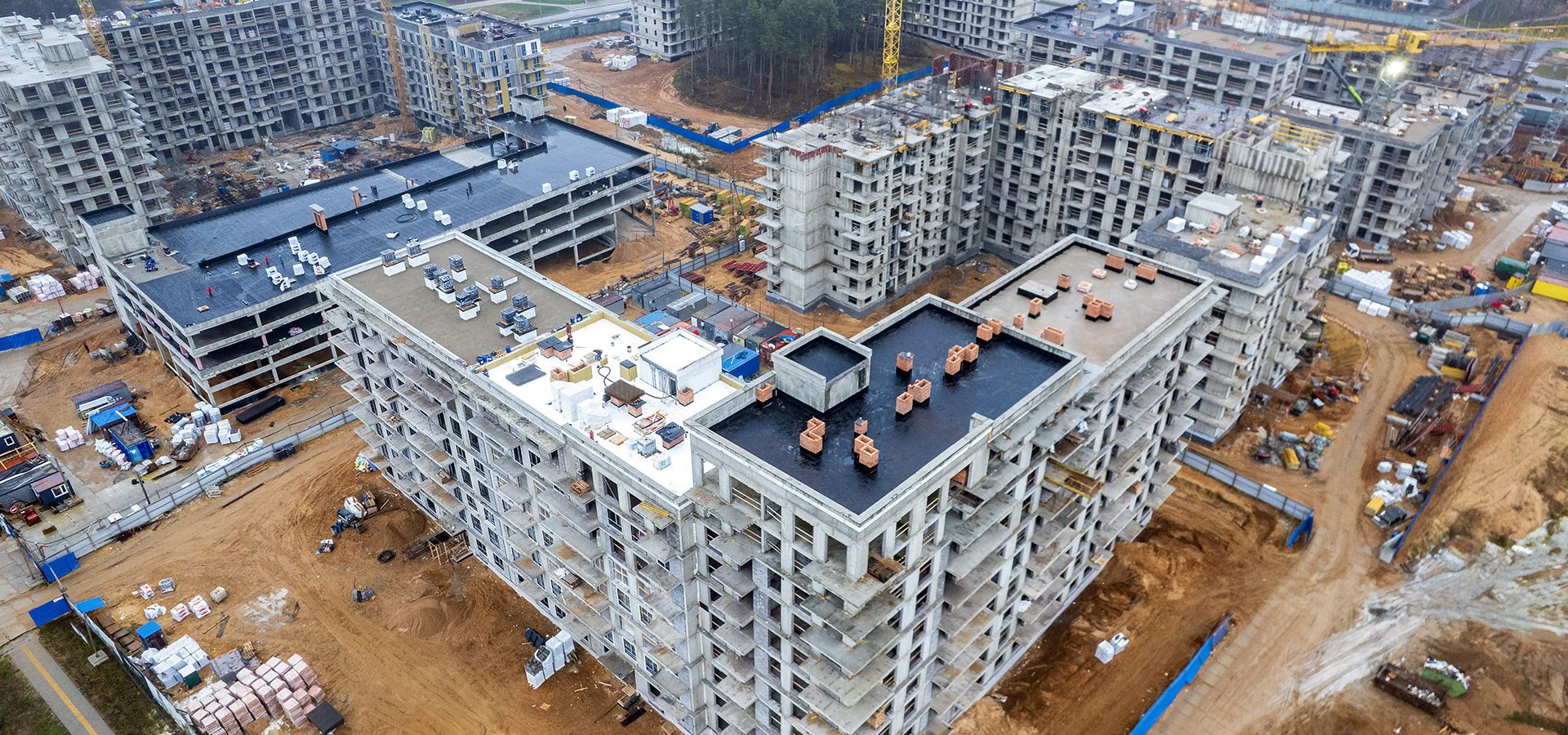 11 ноября 2025 г.