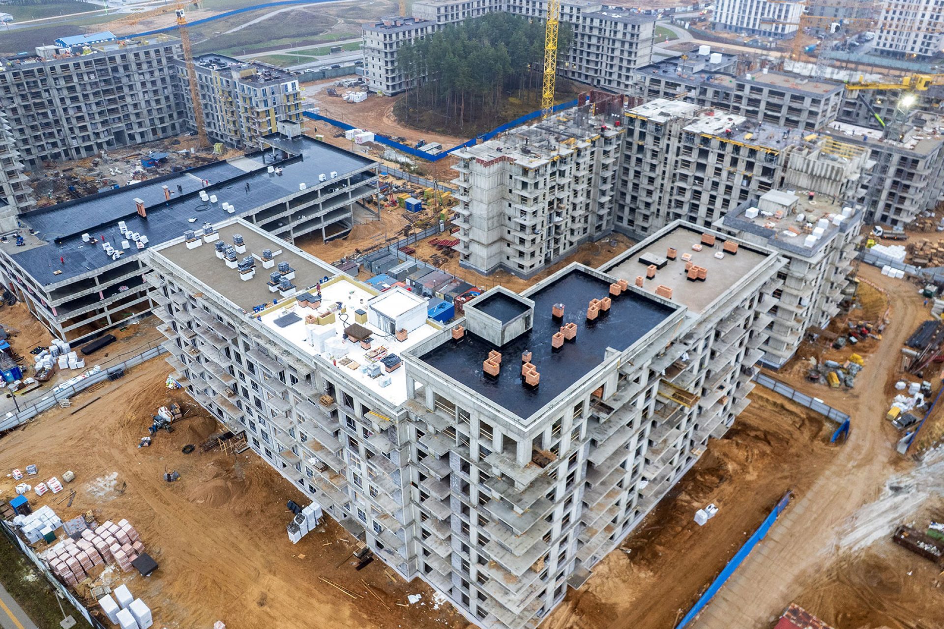 11 ноября 2025 г.